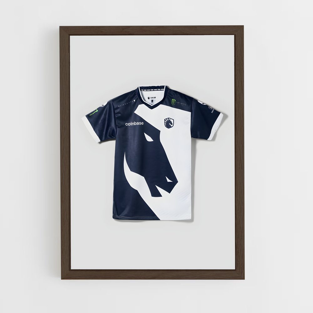 Poster Team de liquid – affiche Esports (vue 5)